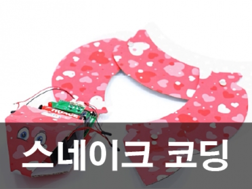 스네이크코딩